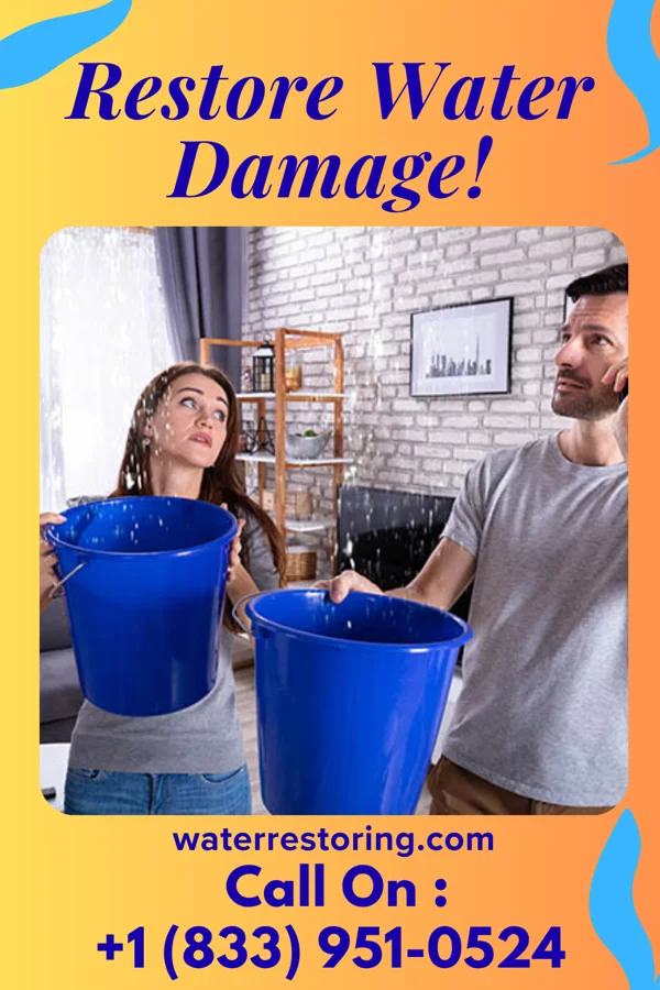 water restoration Best Disaster Recovery Co Wellington