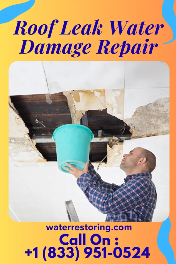 Roof Leak Water Damage Repair in Wellington, MO