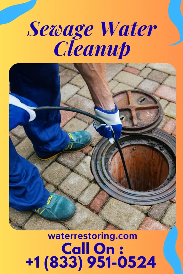 Sewage Water Cleanup in Wellington, MO